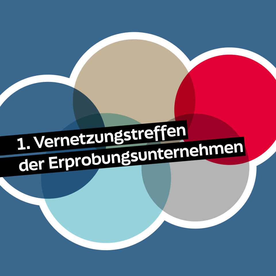1. Vernetzungstreffen der Erprobungsunternehmen