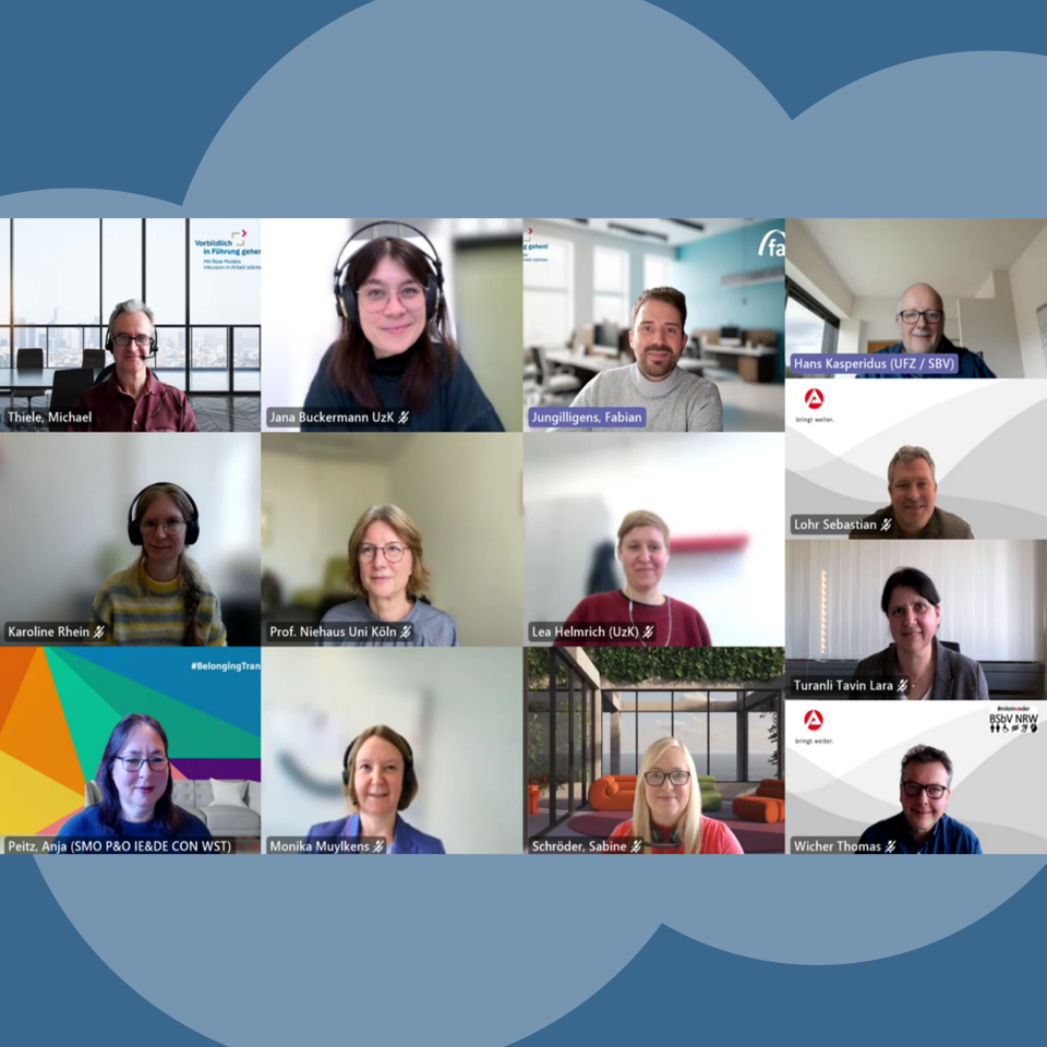 Gruppenbild per Onlinezuschaltung. Es sind 5 Männer 8 Frauen auf dem Bild zu sehen.